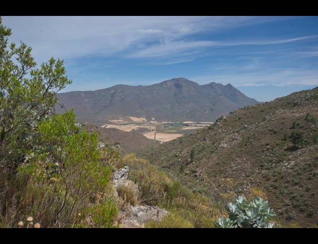 FARM FOR SALE IN PIKETBERG RURAL
